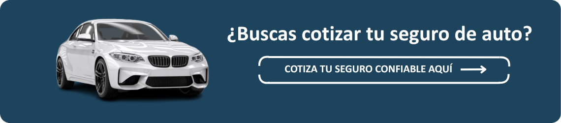 verificacion vehicular
